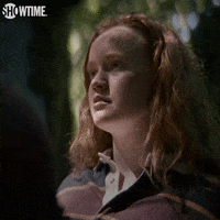 Season 1 Van GIF by SHOWTIME