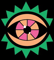 julianacvallada eye studio blink olho GIF