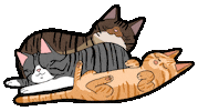 Gatti Sticker by Stefano Cavada