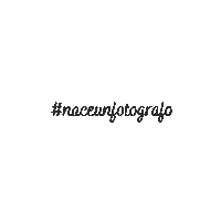 Fotografia Cursos Sticker by Vero Martorell