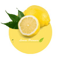 Fruit Lemon Sticker by Lomme Primeurs