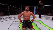 kelvin gastelum ufc GIF