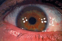 pink floyd GIF
