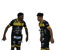bbcmontheychablais basketball check sbl monthey Sticker