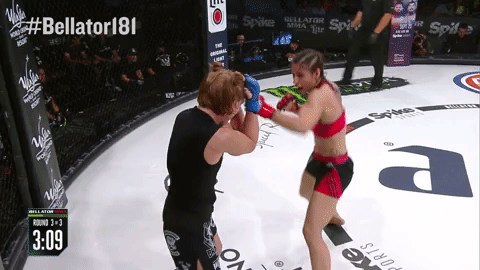 GIF by Bellator