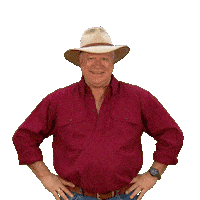 Renovate Channel 9 Sticker by The Block