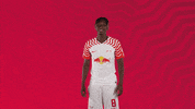 Lets Go Yes GIF by RB Leipzig
