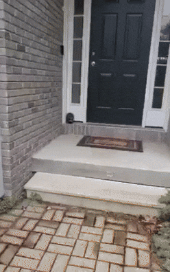yj_jane giphyupload GIF