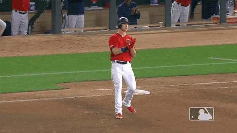 major league baseball sport GIF by MLB
