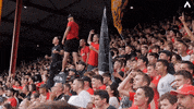 Goal Celebrating GIF by KV Kortrijk
