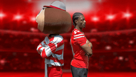 Ohio State Buckeyes GIF by Logan Services