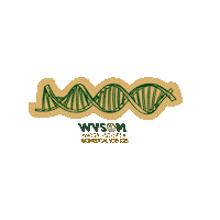 Wvsom Sticker by West Virginia School of Osteopathic Medicine