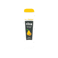 thenicecompanynl summer nice ice fruit Sticker