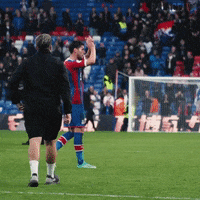 Premier League Applause GIF by CPFC