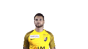 SRDOfficiel football celebration goal call Sticker