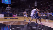 Flying Liga Endesa GIF by ACB
