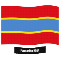 Castilla Y Leon Flag Sticker by Formación Ninja
