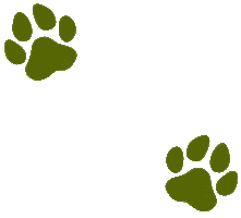 Paw Donate Sticker by Macattack