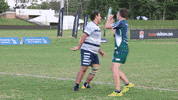 Ntl GIF by Touch Football Australia