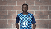 Usl Championship Sport GIF by Indy Eleven