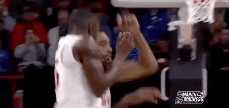 College Basketball Sport GIF by NCAA March Madness