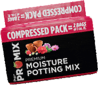 Summer Flower Sticker by PRO-MIX Gardening