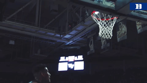 college basketball acc GIF by Duke Men's Basketball