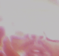 Lyric Video GIF by The Weeknd
