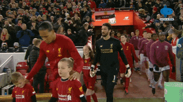 Celebration Reaction GIF by MolaTV