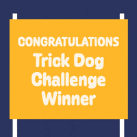 Love Dogs Photography GIF by puppytales