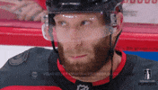 Happy Stanley Cup Playoffs GIF by NHL