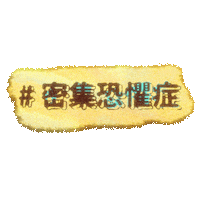 Polin Sticker by Sony Music CPOP