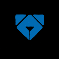 Airdog GIF by toconnect