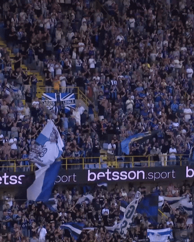 Blauw-Zwart GIF by Club Brugge
