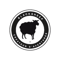 Adventure Roadtrip Sticker by Blacksheep Van