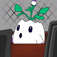 Surprise Wow GIF by Magic Eden