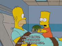 sad homer simpson GIF