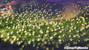 GIF by Sony Pictures Animation