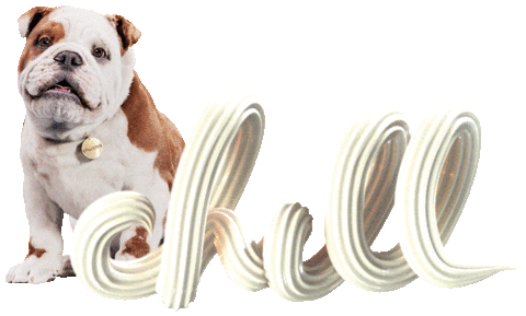 ChurchillTheDog giphyupload happy dog food Sticker
