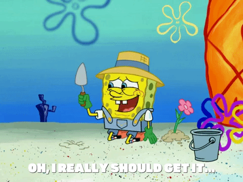 season 6 episode 3 GIF by SpongeBob SquarePants