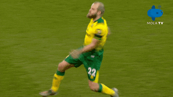 Norwichcity GIF by MolaTV