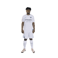 Logo Benji Sticker by FC Slovan Liberec