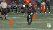 Pro Bowl Football GIF by NFL