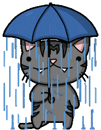 Cat Raining Sticker by Tutimon