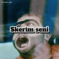 Skerim Seni GIF