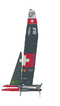 Sui F50 Sticker by SailGP