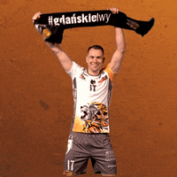 Point Win GIF by trefl_gdansk