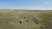 standing rock GIF by RISE