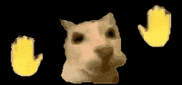 Cathandsdancesticker GIF