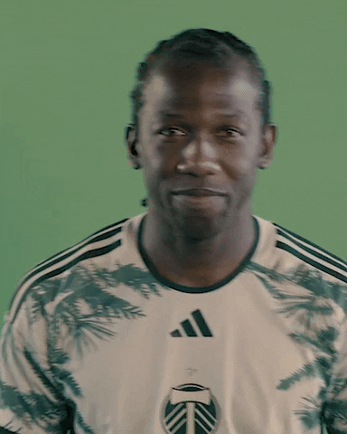 Mls Portland GIF by Timbers